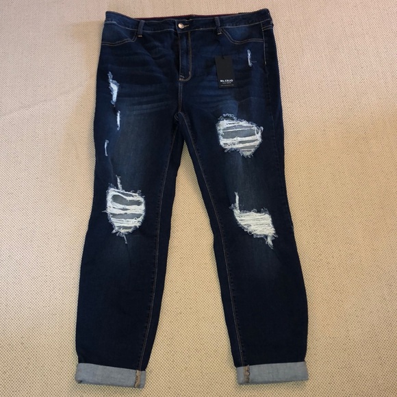 ms cello jeans plus size